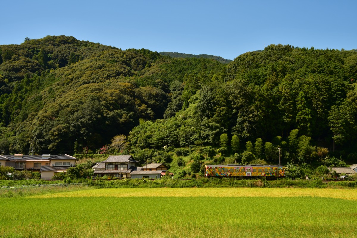 鉄道写真・田園・撮影地：予讃線・西大洲－伊予平野