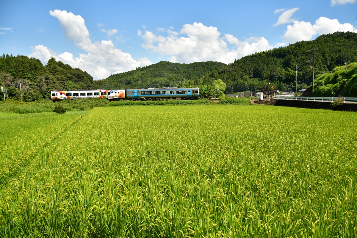 鉄道写真・田園・撮影地：予讃線・西大洲－伊予平野