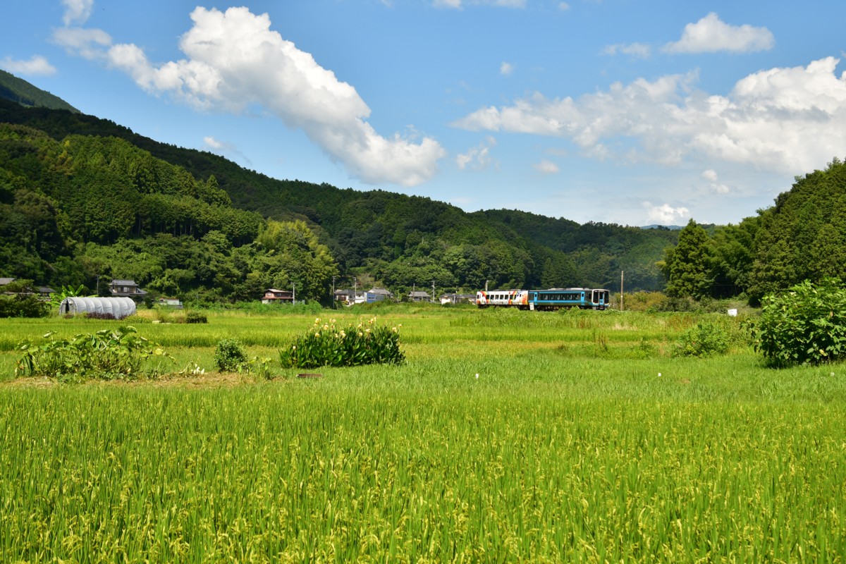 鉄道写真・田園・撮影地：予讃線・西大洲－伊予平野