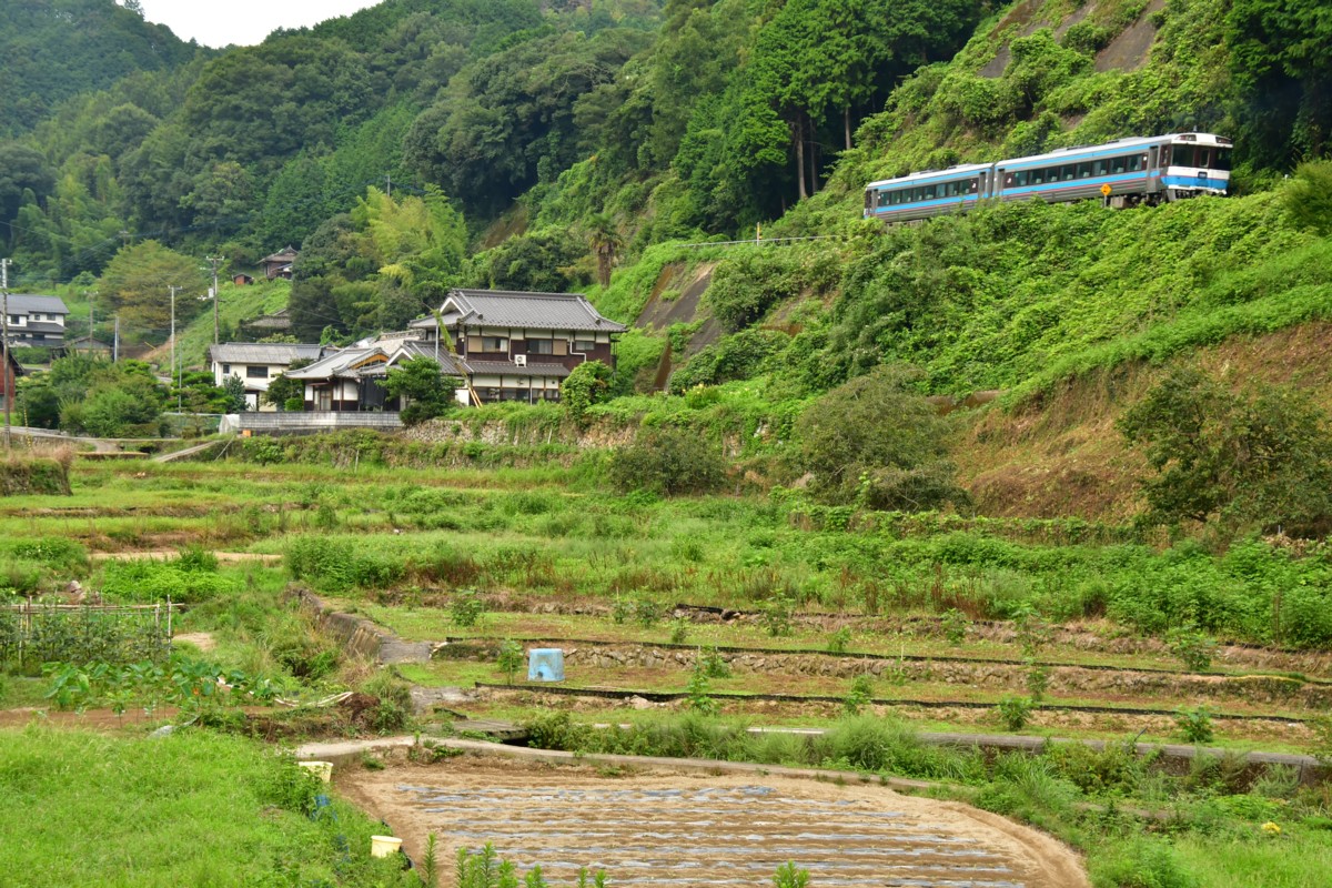 鉄道写真・田園・撮影地：予讃線・双岩－伊予石城