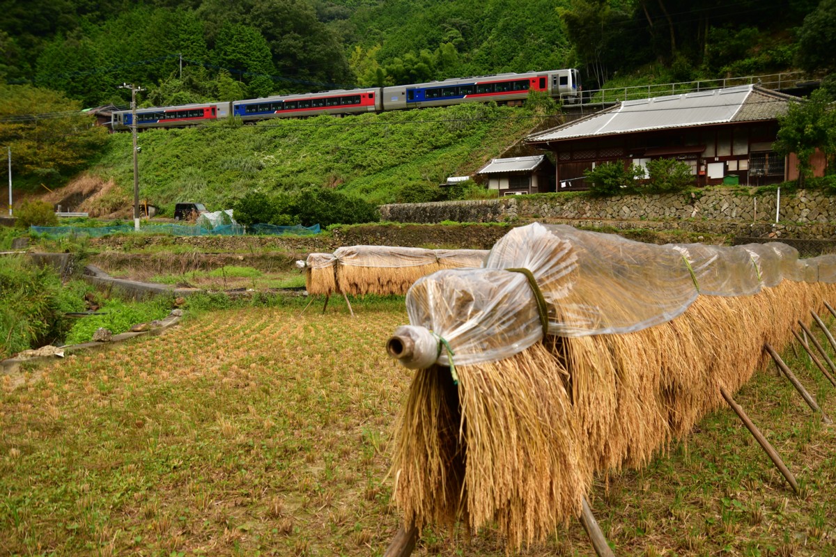 鉄道写真・田園・撮影地：予讃線・双岩－伊予石城