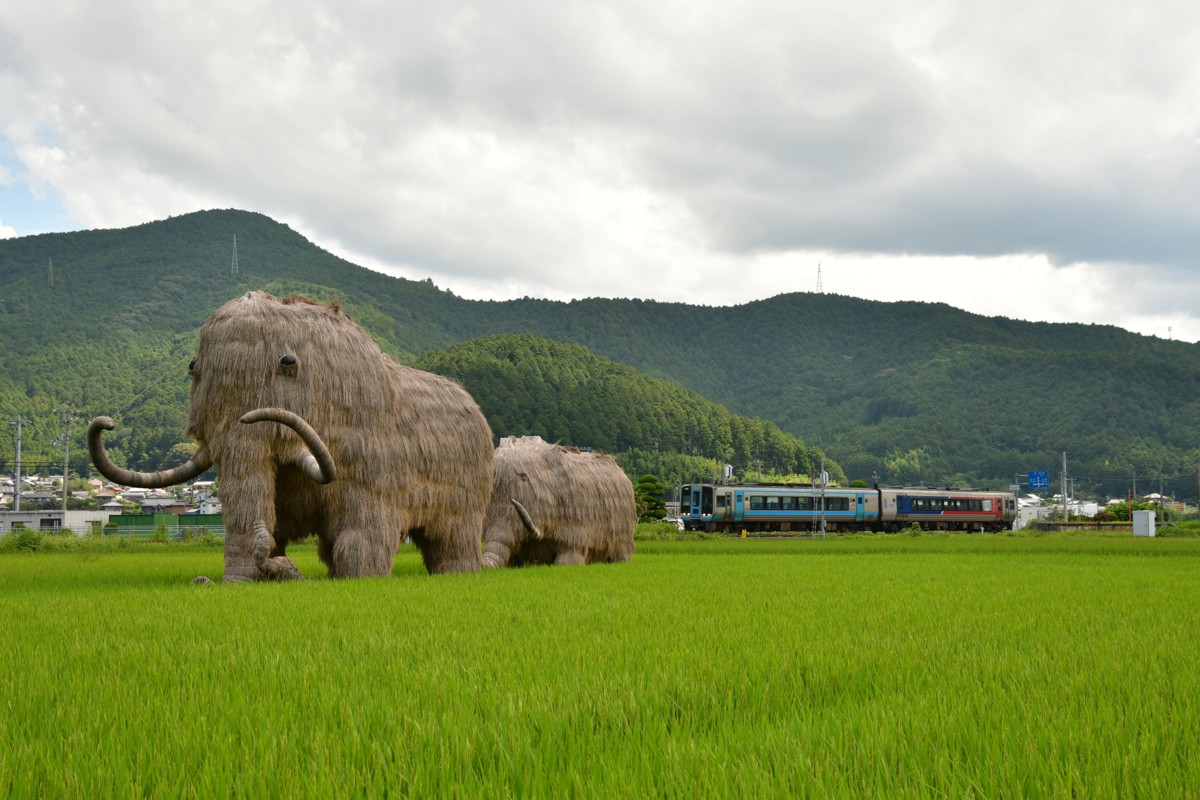 鉄道写真・田園・撮影地：予讃線・伊予石城