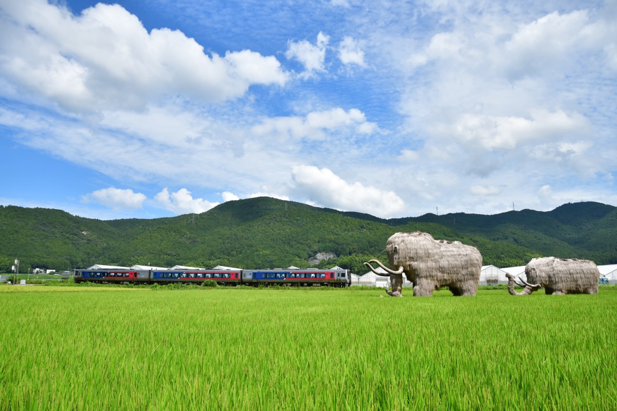 鉄道写真・田園・撮影地：予讃線・伊予石城