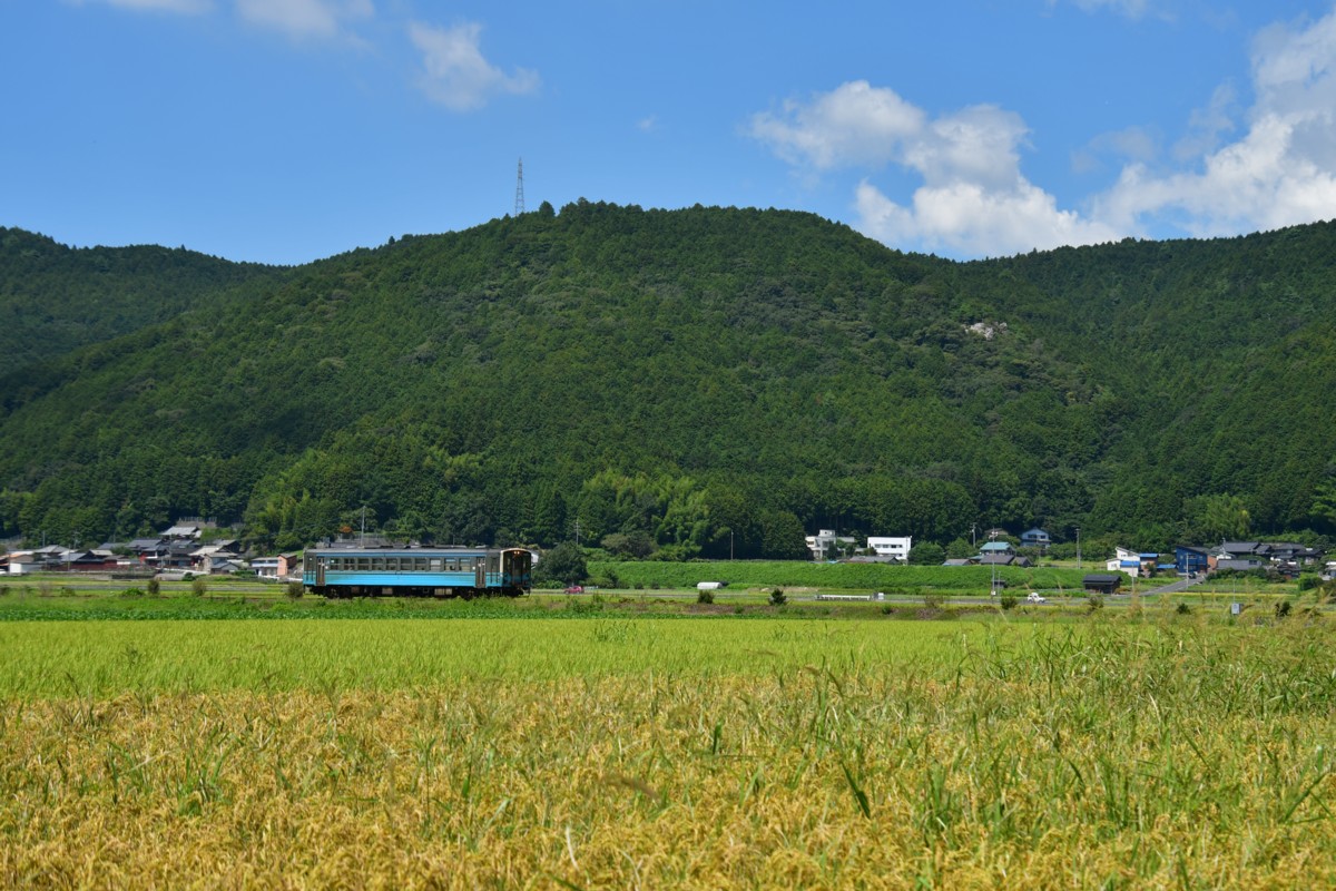 鉄道写真・田園・撮影地：予讃線・伊予石城