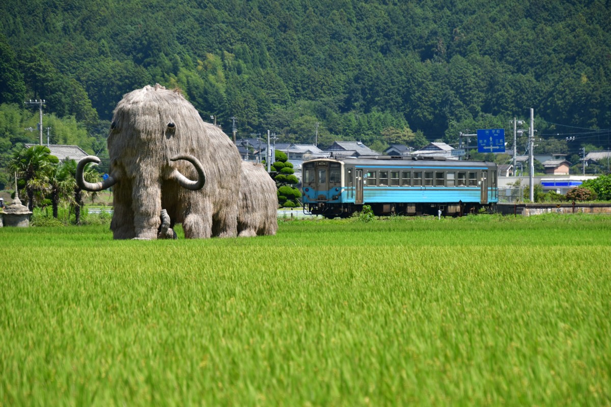 鉄道写真・田園・撮影地：予讃線・伊予石城