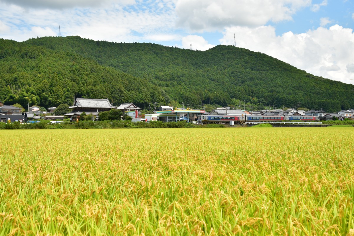 鉄道写真・田園・撮影地：予讃線・伊予石城－上宇和