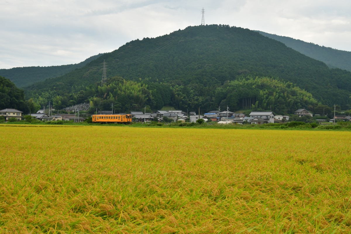 鉄道写真・田園・撮影地：予讃線・伊予石城－上宇和