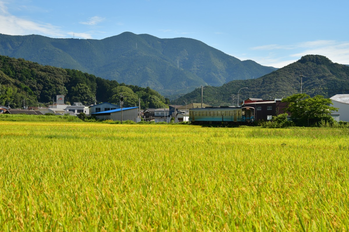 鉄道写真・田園・撮影地：予土線・務田－伊予宮野下