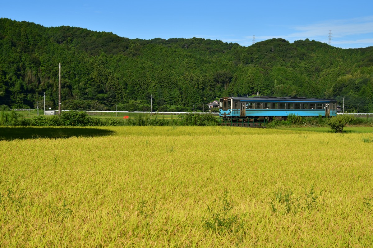 鉄道写真・田園・撮影地：予土線・大内－深田