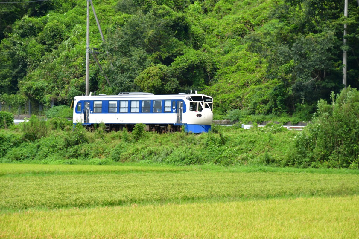 鉄道写真・田園・撮影地：予土線・大内－深田