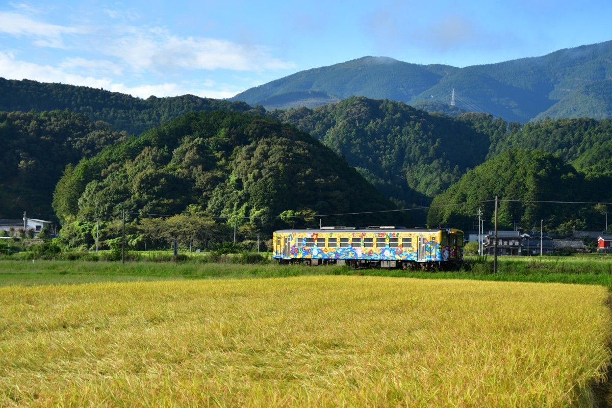 鉄道写真・田園・撮影地：予土線・深田－近永