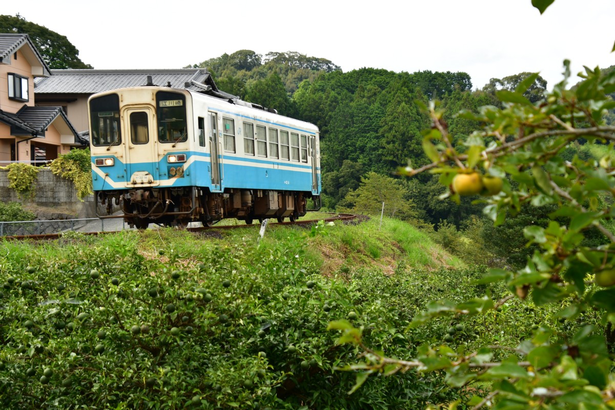 鉄道写真・田園・撮影地：予土線・出目－松丸
