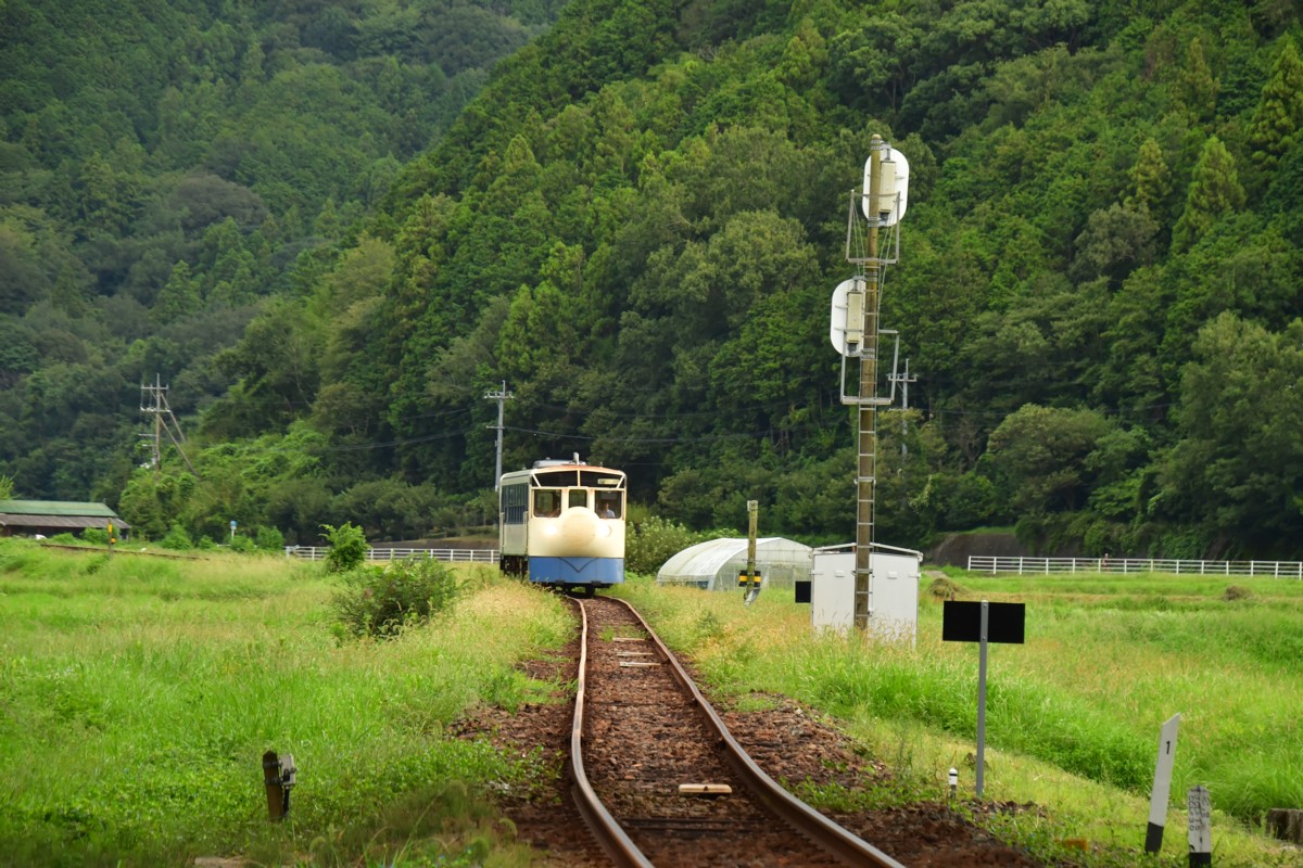 鉄道写真・田園・撮影地：予土線・吉野生