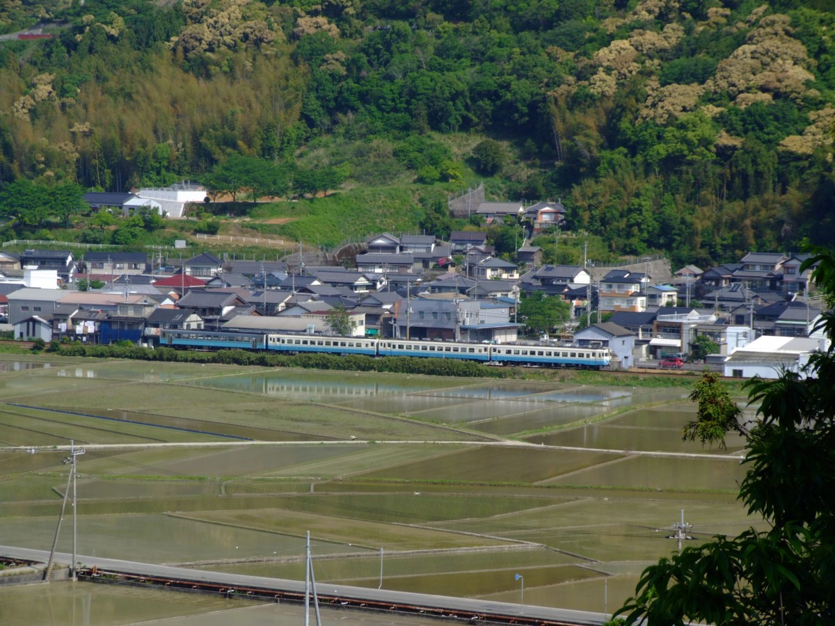 撮影・土讃線・伊野－枝川