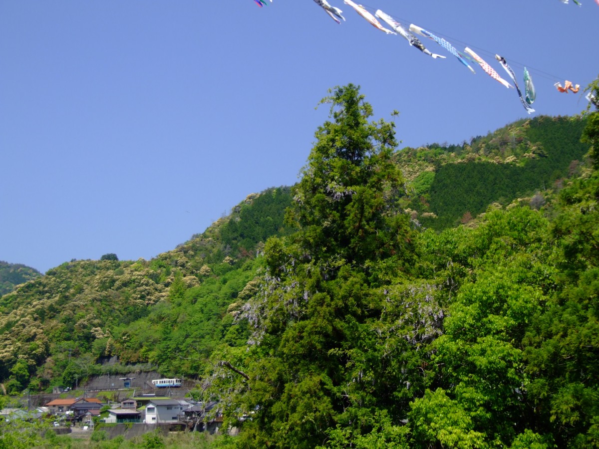 撮影・予土線・十川