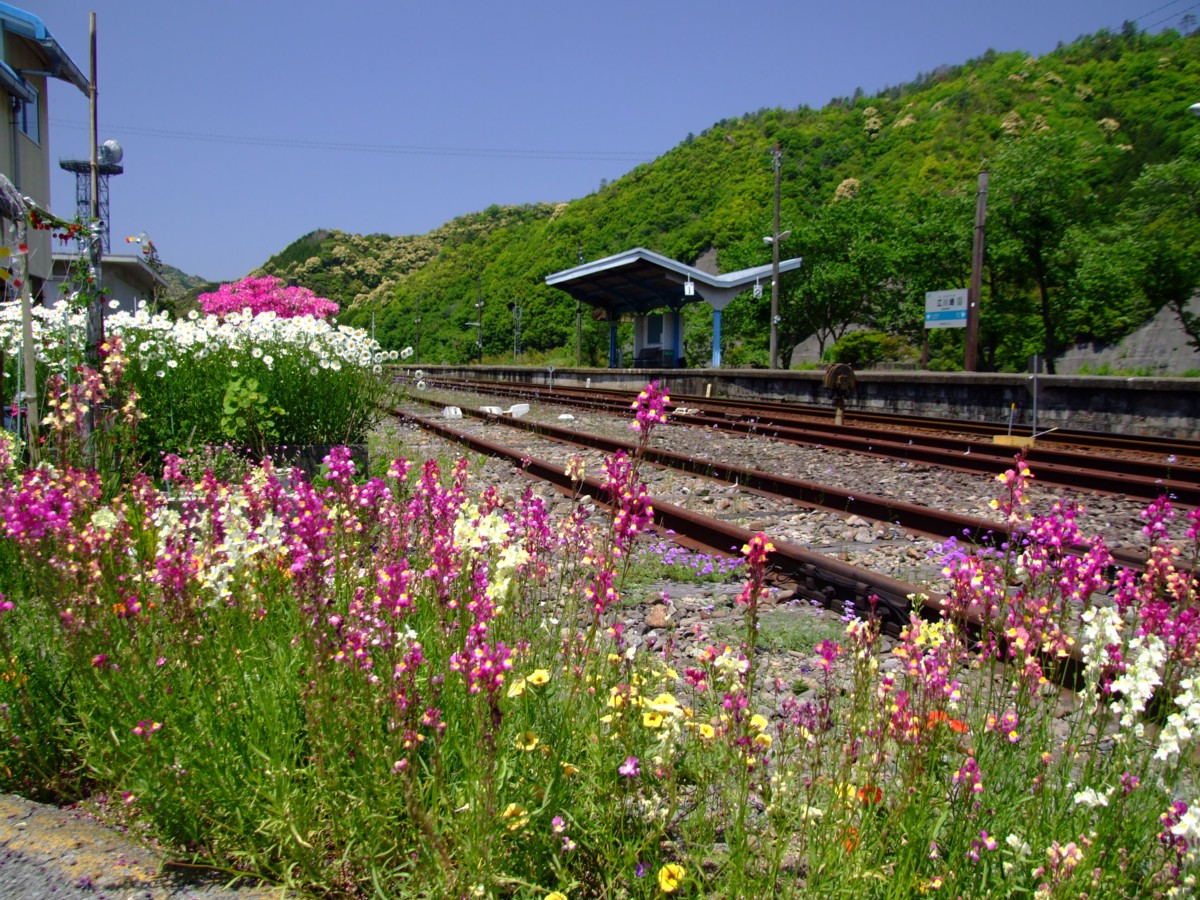 撮影・予土線・江川崎