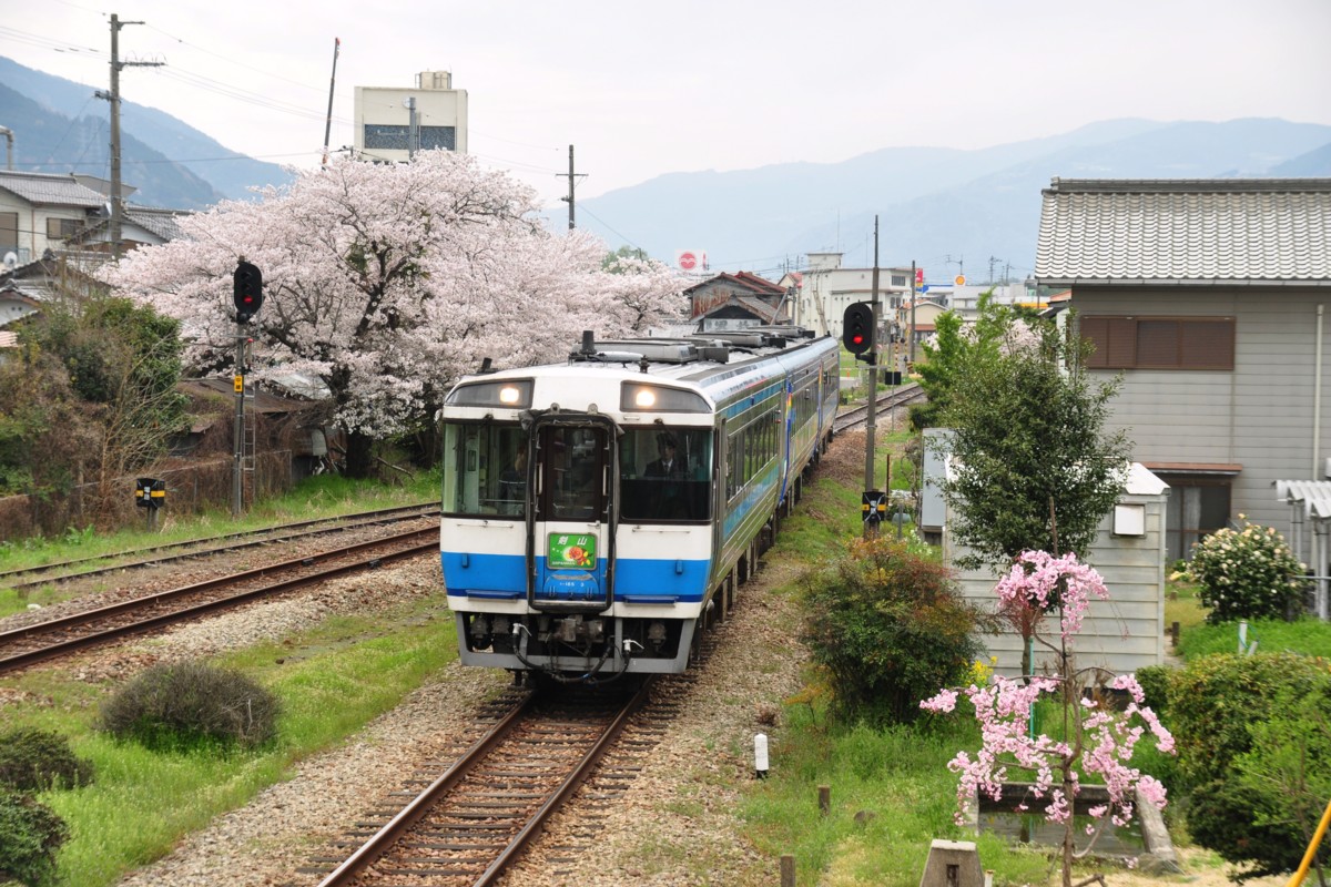 撮影・桜・徳島線・阿波加茂