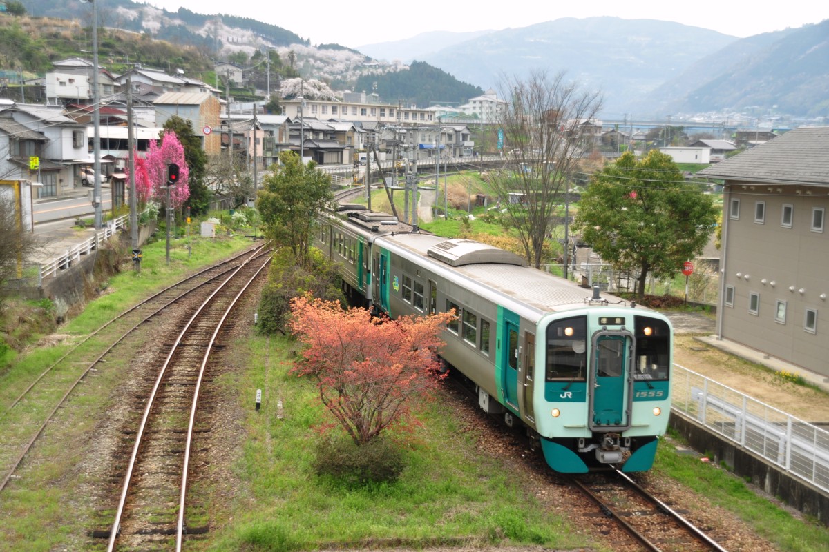撮影・桜・徳島線・辻