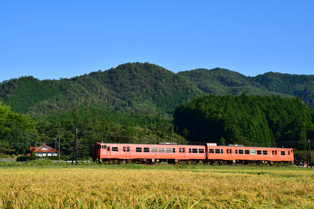 撮影・鉄道写真・秋・山口線・渡川