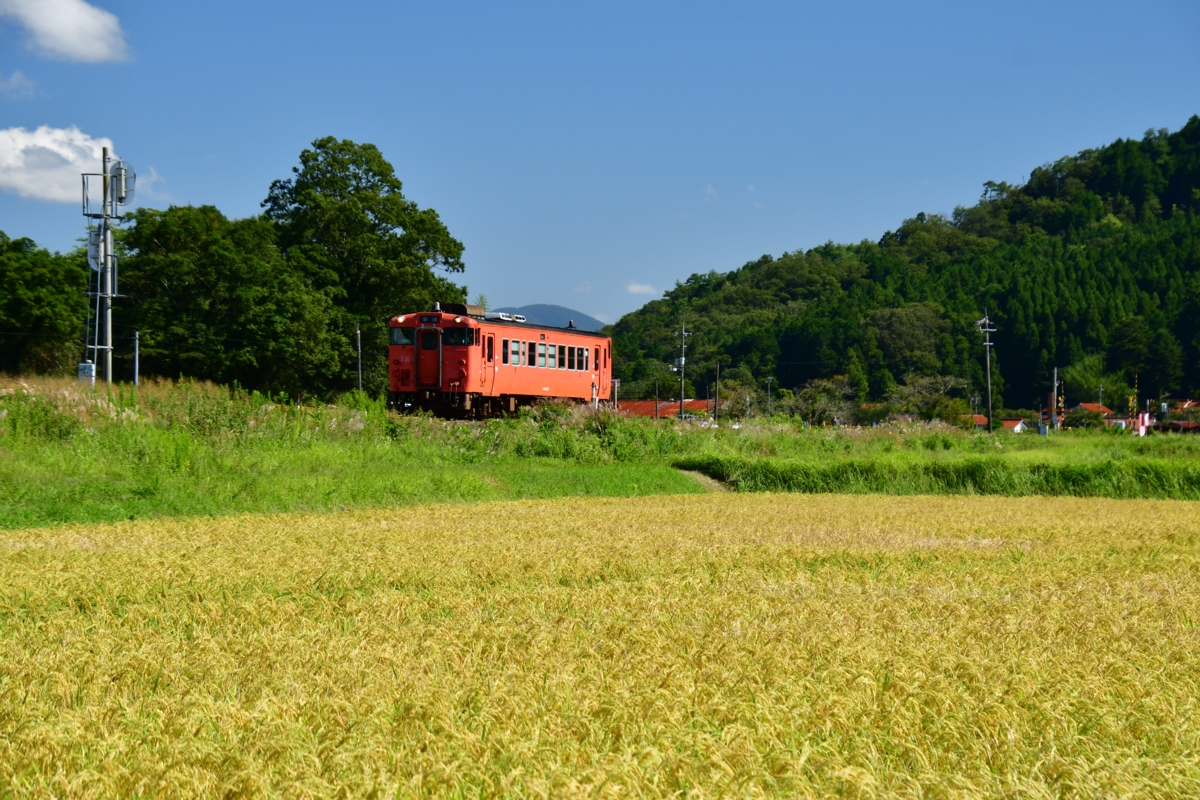 撮影・鉄道写真・秋・山口線・地福