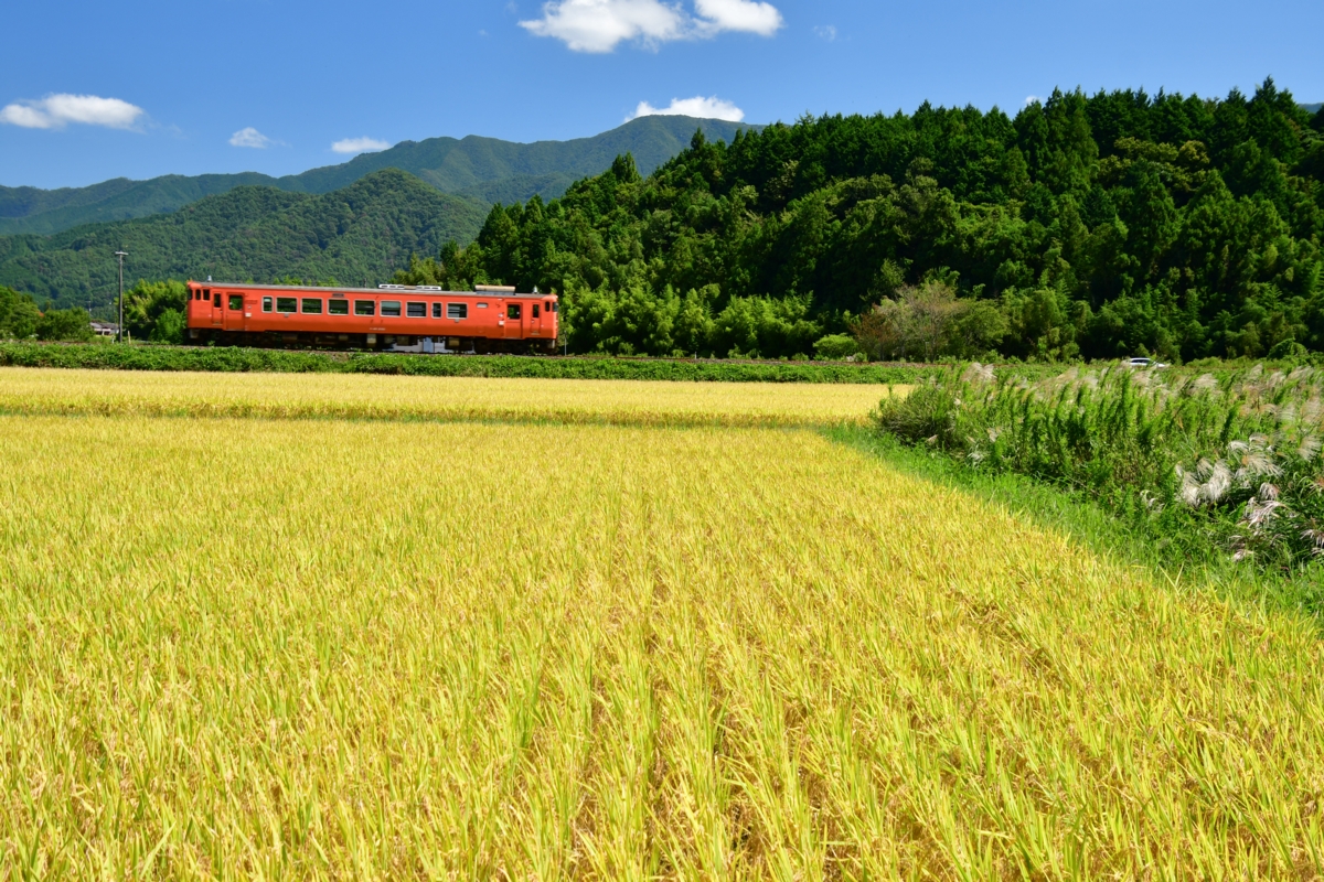 撮影・鉄道写真・秋・山口線・徳佐ー船平山