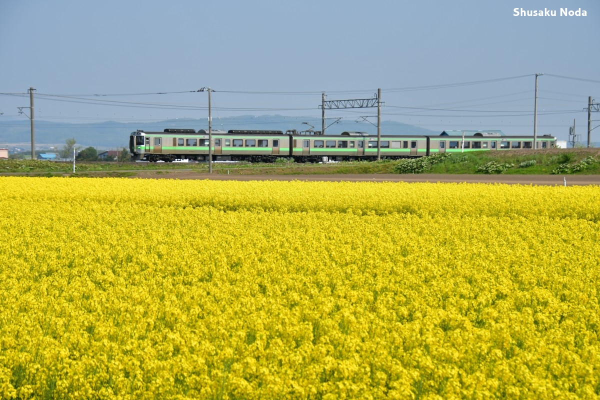 鉄道写真・菜の花・撮影地：函館本線・滝川－江部乙