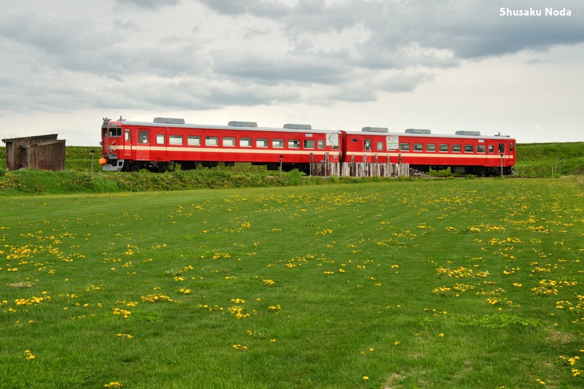 撮影・大地のテラス
