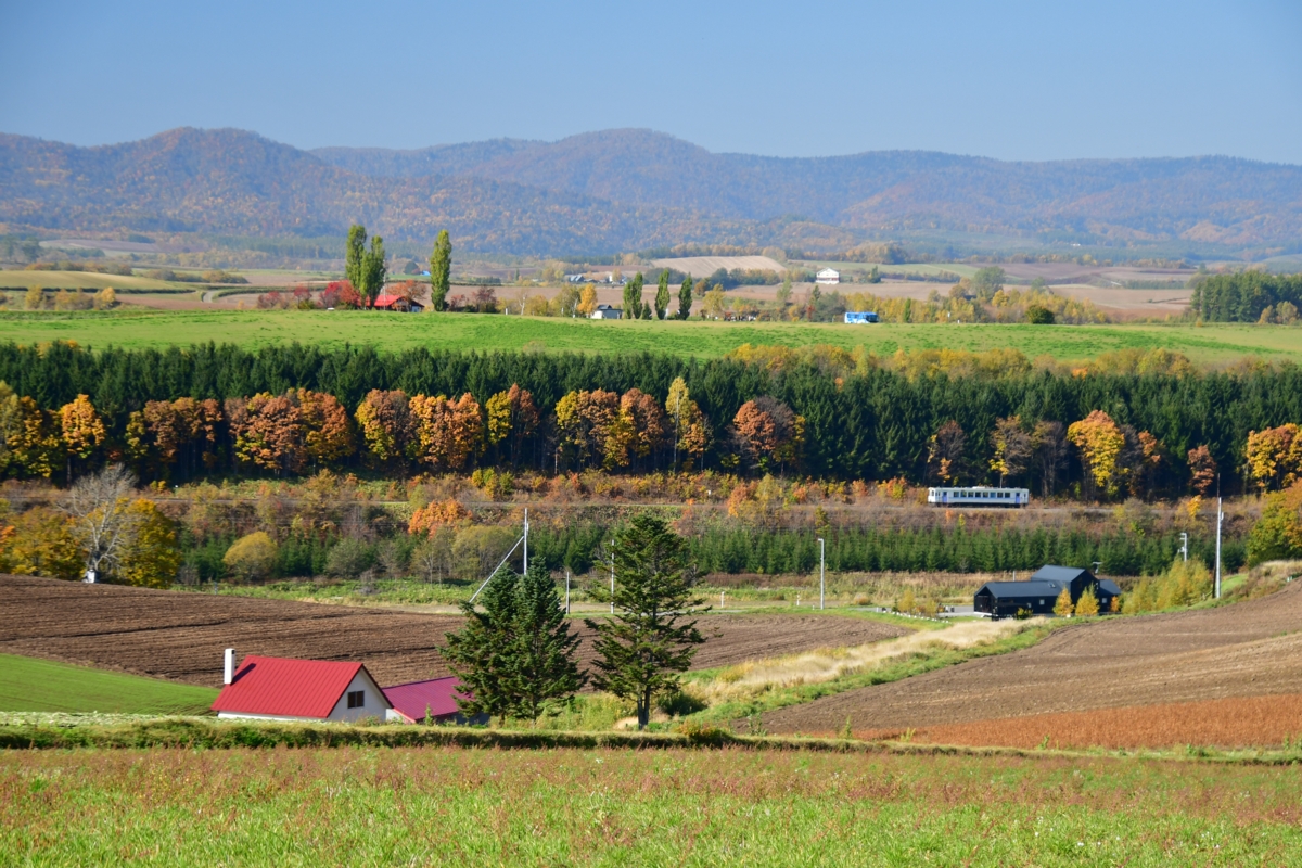 撮影・紅葉・富良野線・美瑛－美馬牛