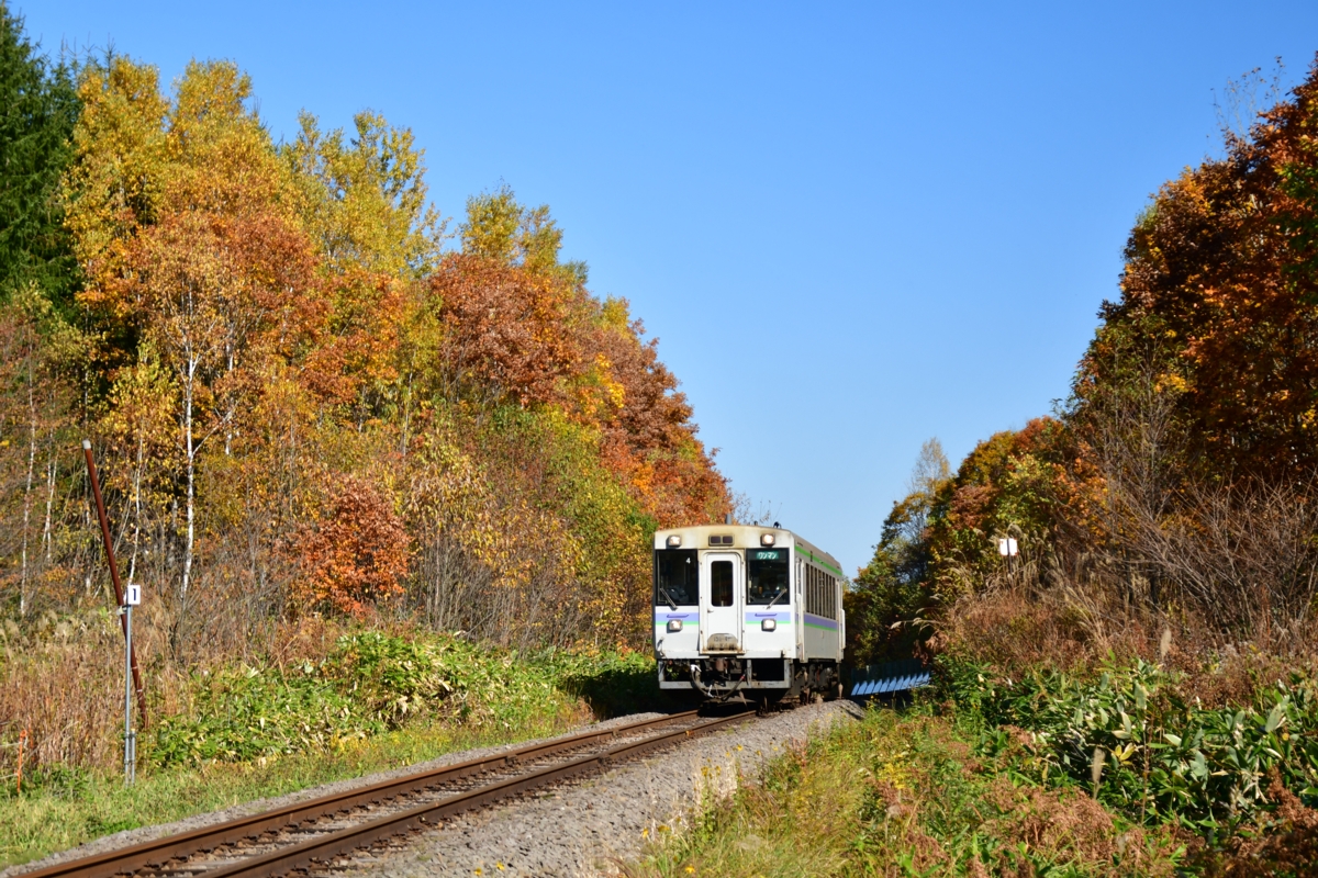 撮影・紅葉・富良野線・美瑛－美馬牛