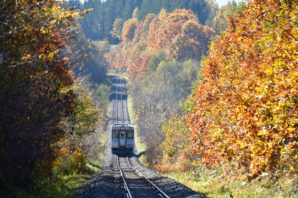 撮影・紅葉・富良野線・美瑛－美馬牛