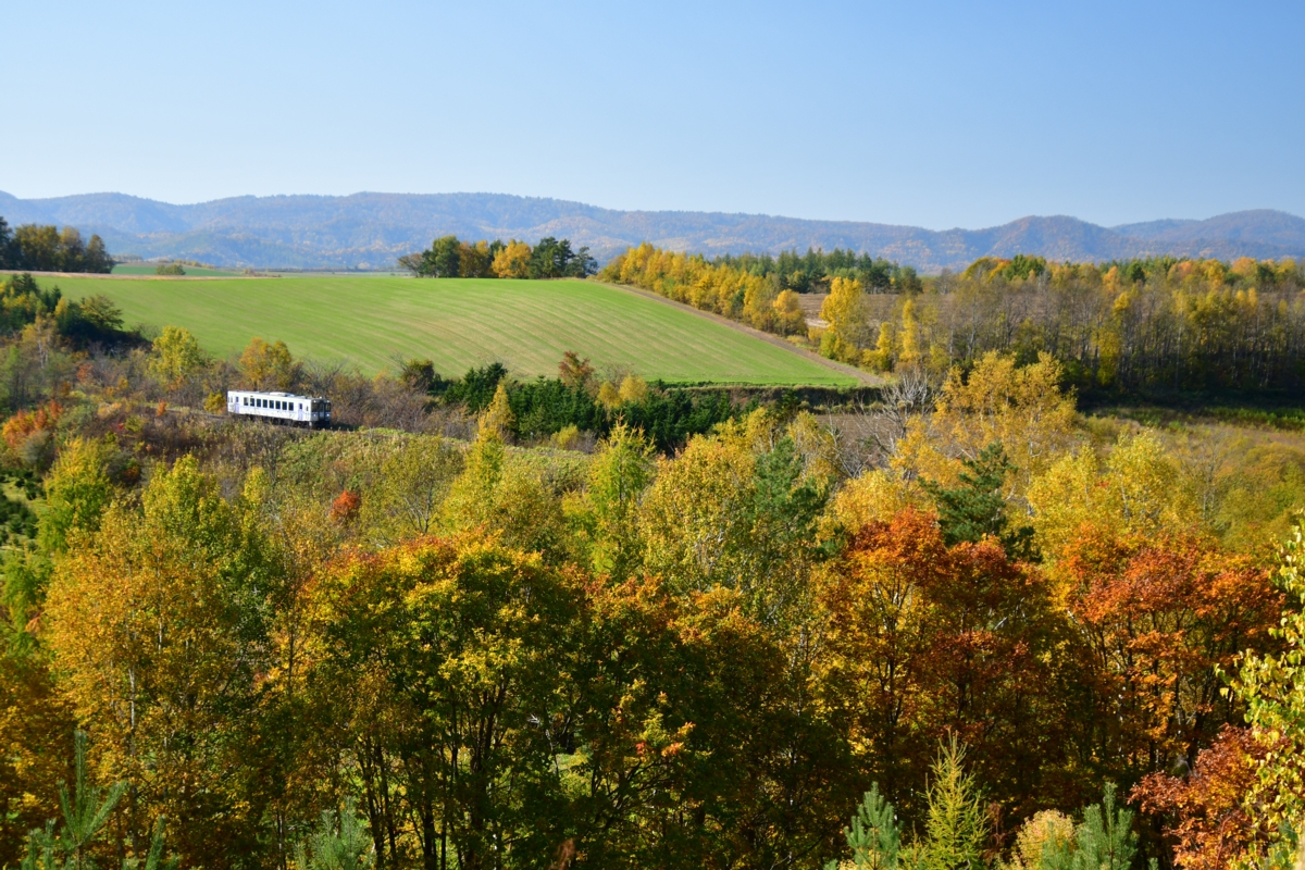 撮影・紅葉・富良野線・美瑛－美馬牛