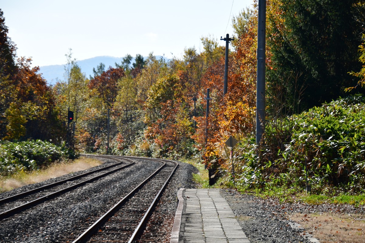 撮影・紅葉・富良野線・美馬牛