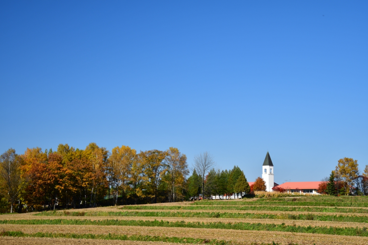 撮影・紅葉・美馬牛小学校