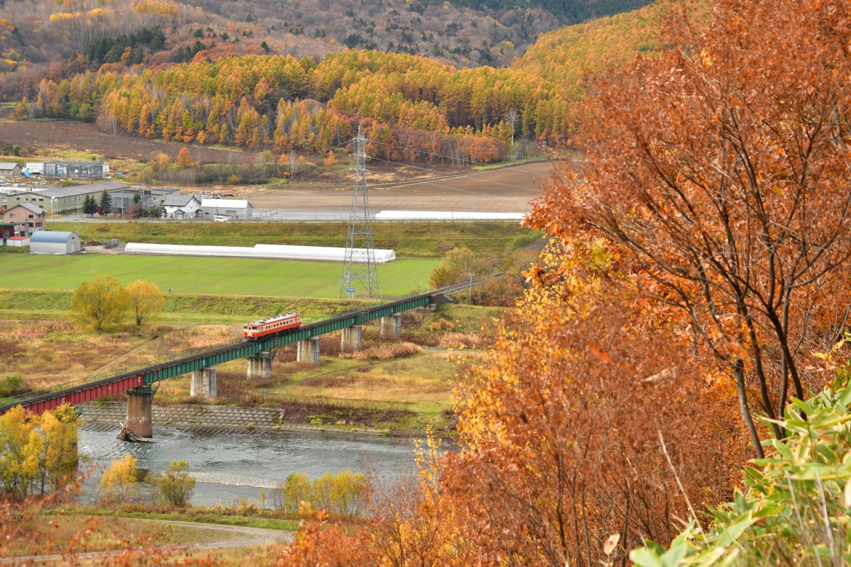 撮影・紅葉・根室本線・島ノ下(信)－富良野