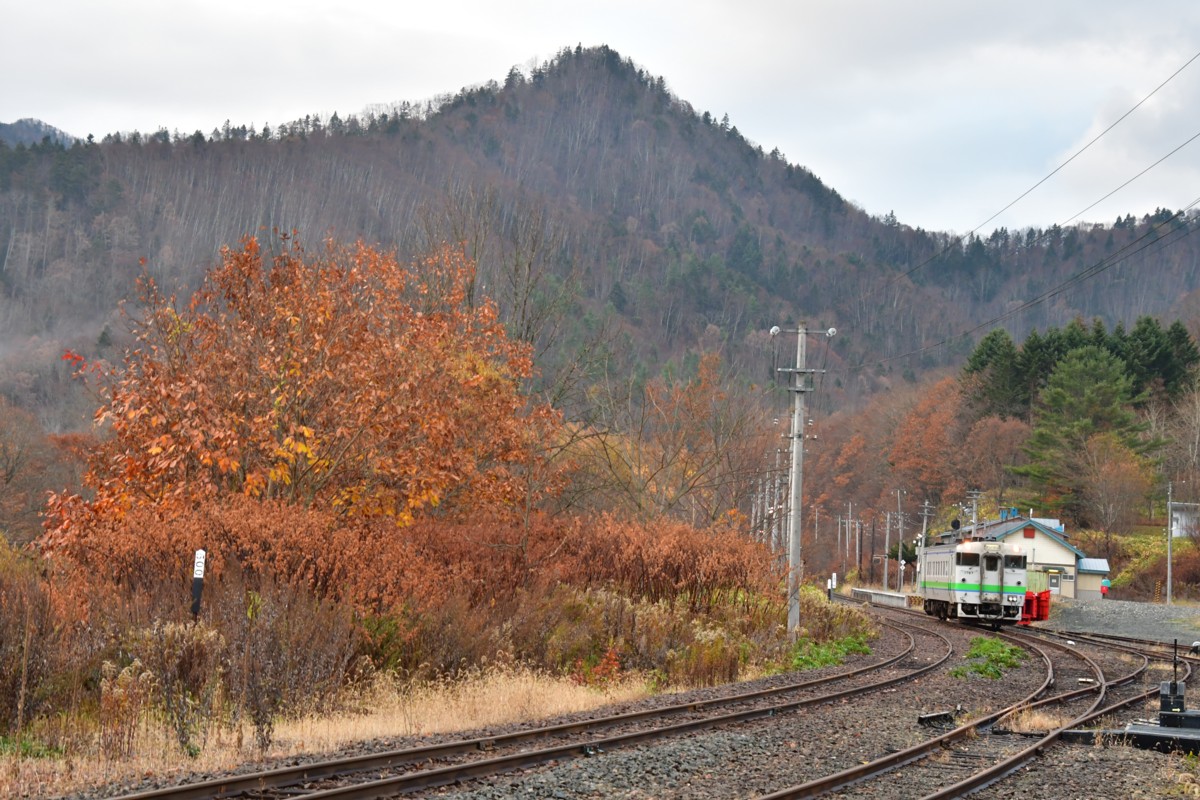 撮影・紅葉・根室本線・金山