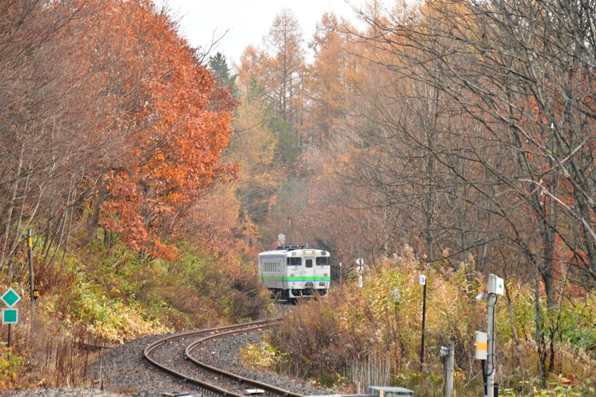 撮影・紅葉・根室本線・金山