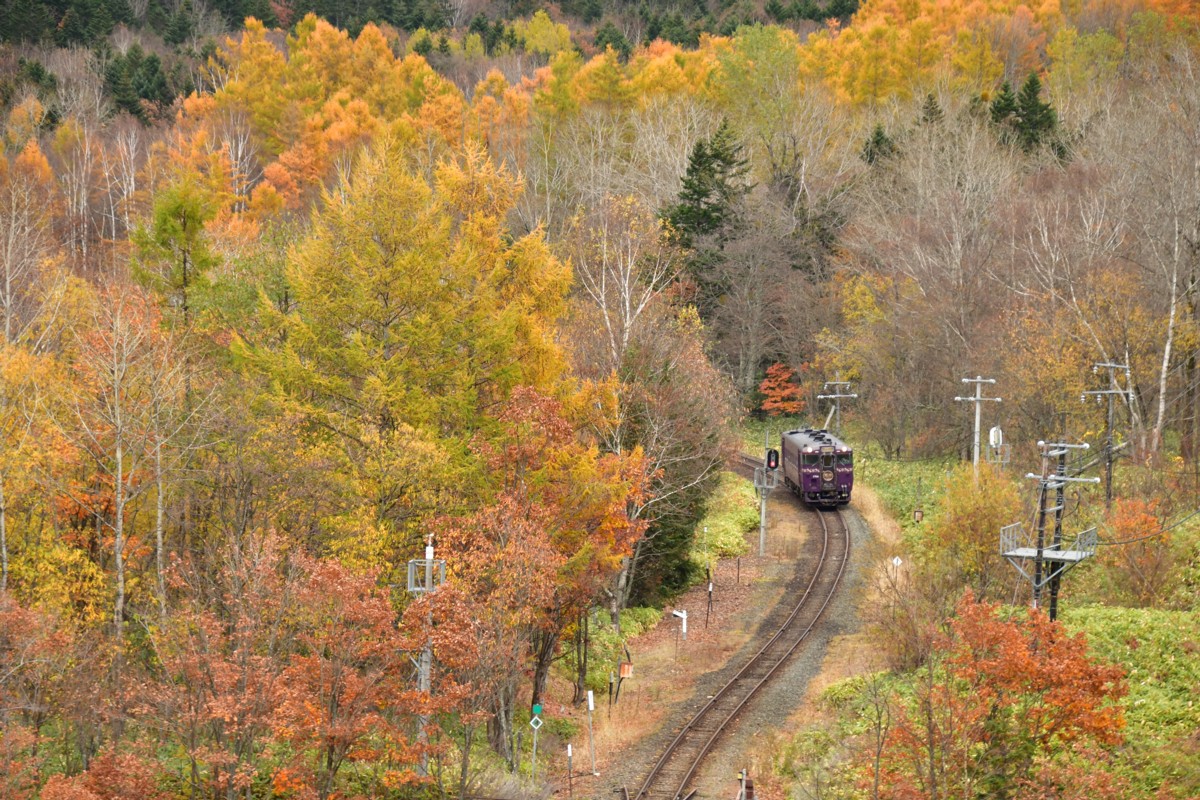 撮影・紅葉・根室本線・金山－東鹿越