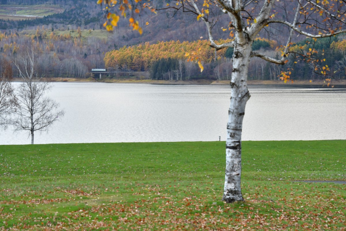撮影・紅葉・根室本線・金山－東鹿越
