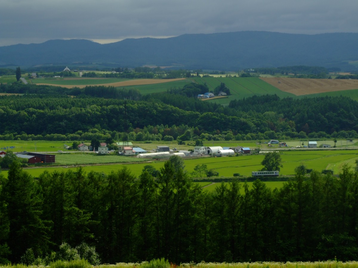 富良野線・撮影・千代ヶ丘－北美瑛