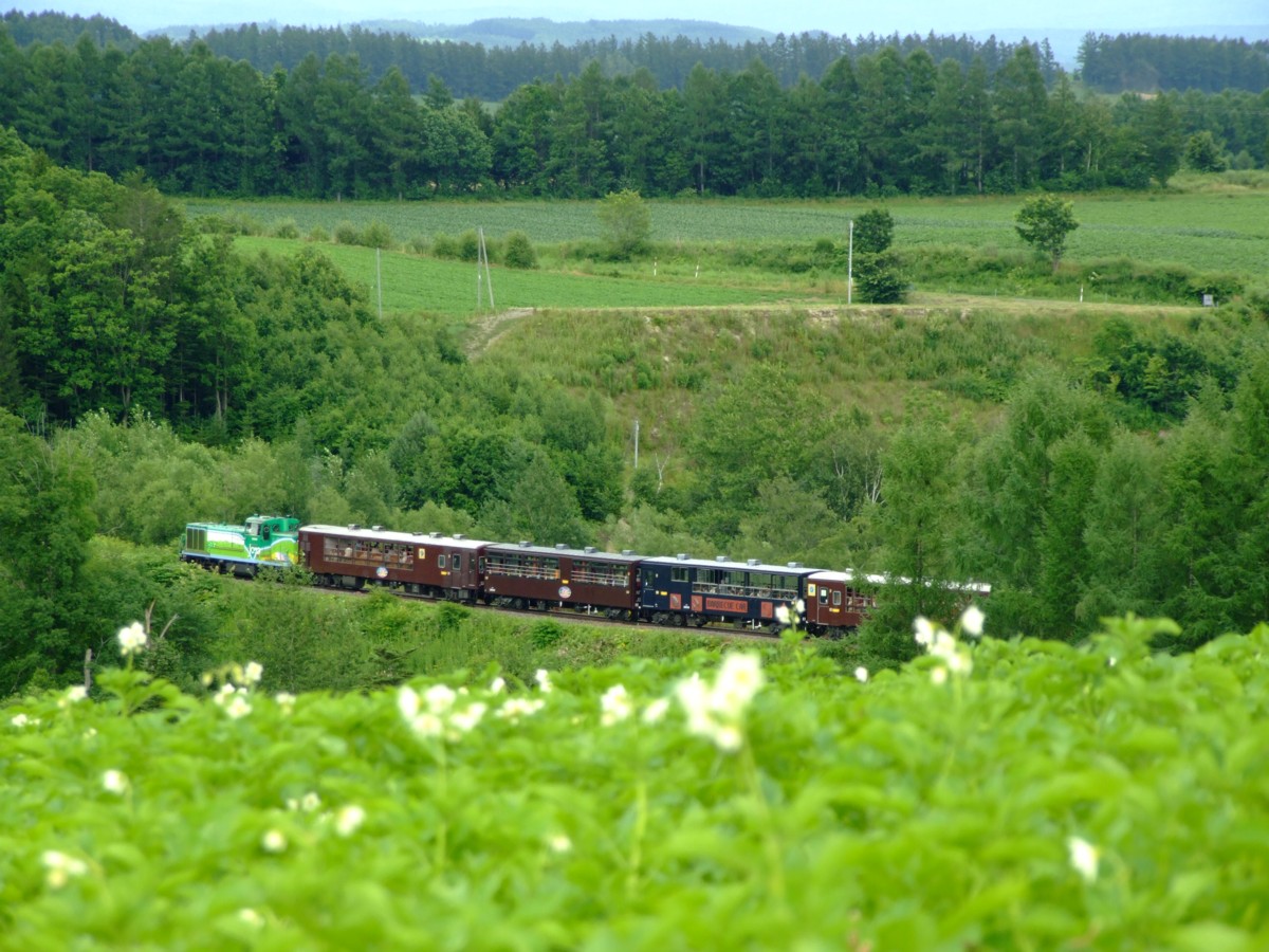 富良野線・撮影・美瑛－美馬牛