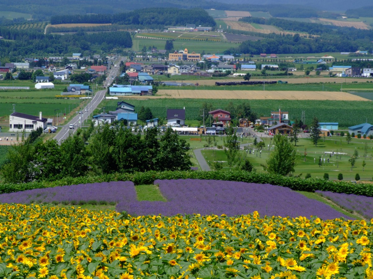 富良野線・撮影・美馬牛－上富良野