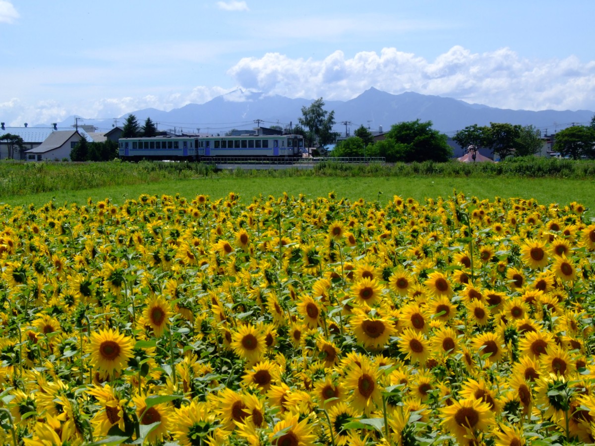 富良野線・撮影・美馬牛－上富良野