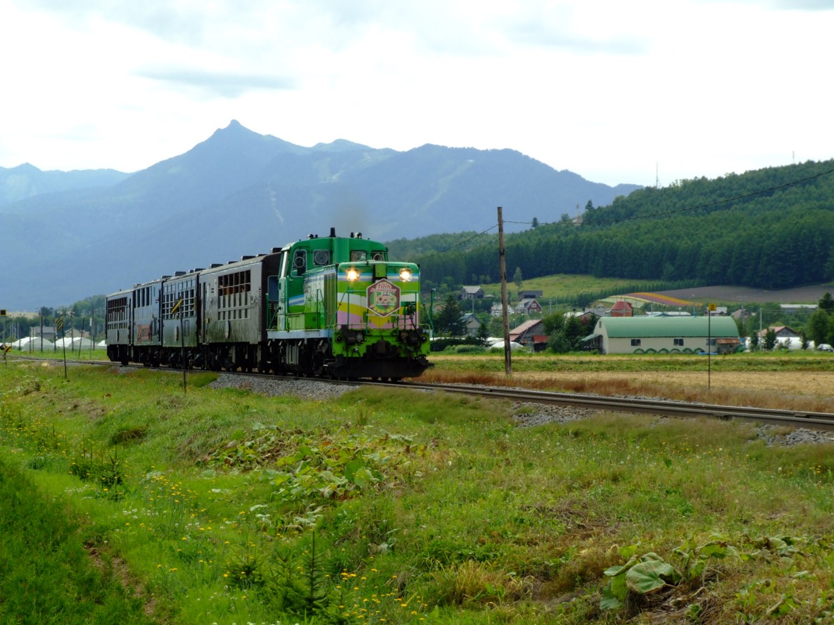 富良野線・撮影・西中－ラベンダー畑(臨)