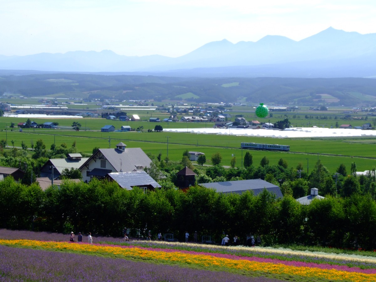 富良野線・撮影・西中－ラベンダー畑(臨)