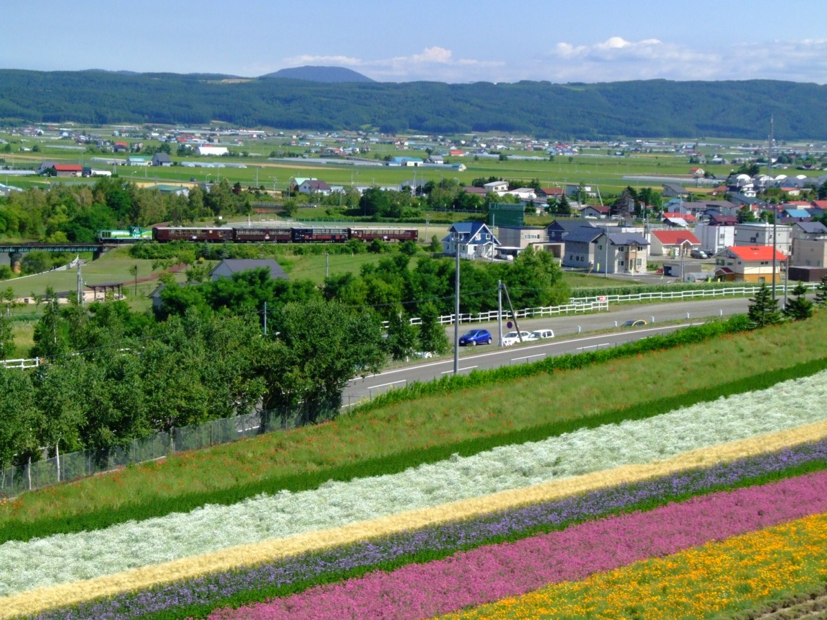 富良野線・撮影・ラベンダー畑(臨)－中富良野