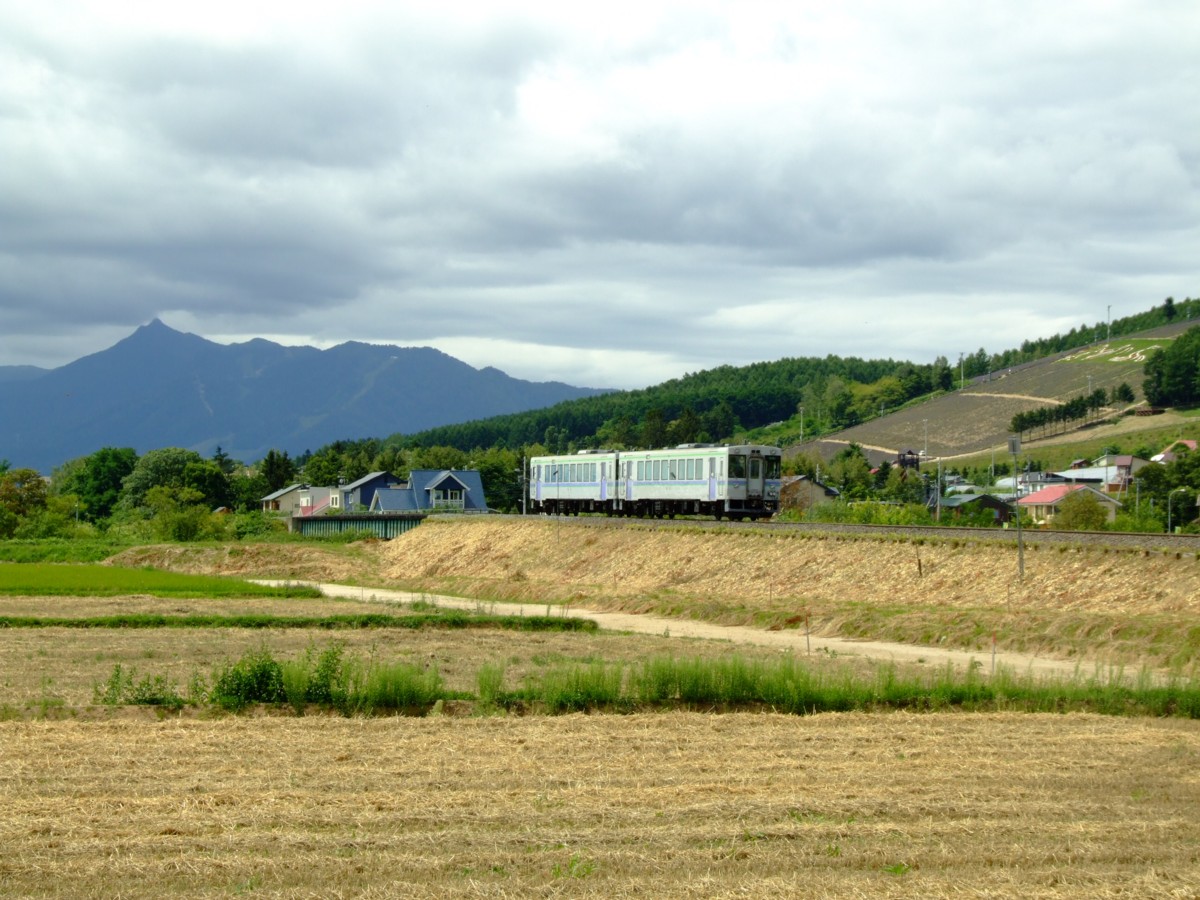 富良野線・撮影・ラベンダー畑(臨)－中富良野