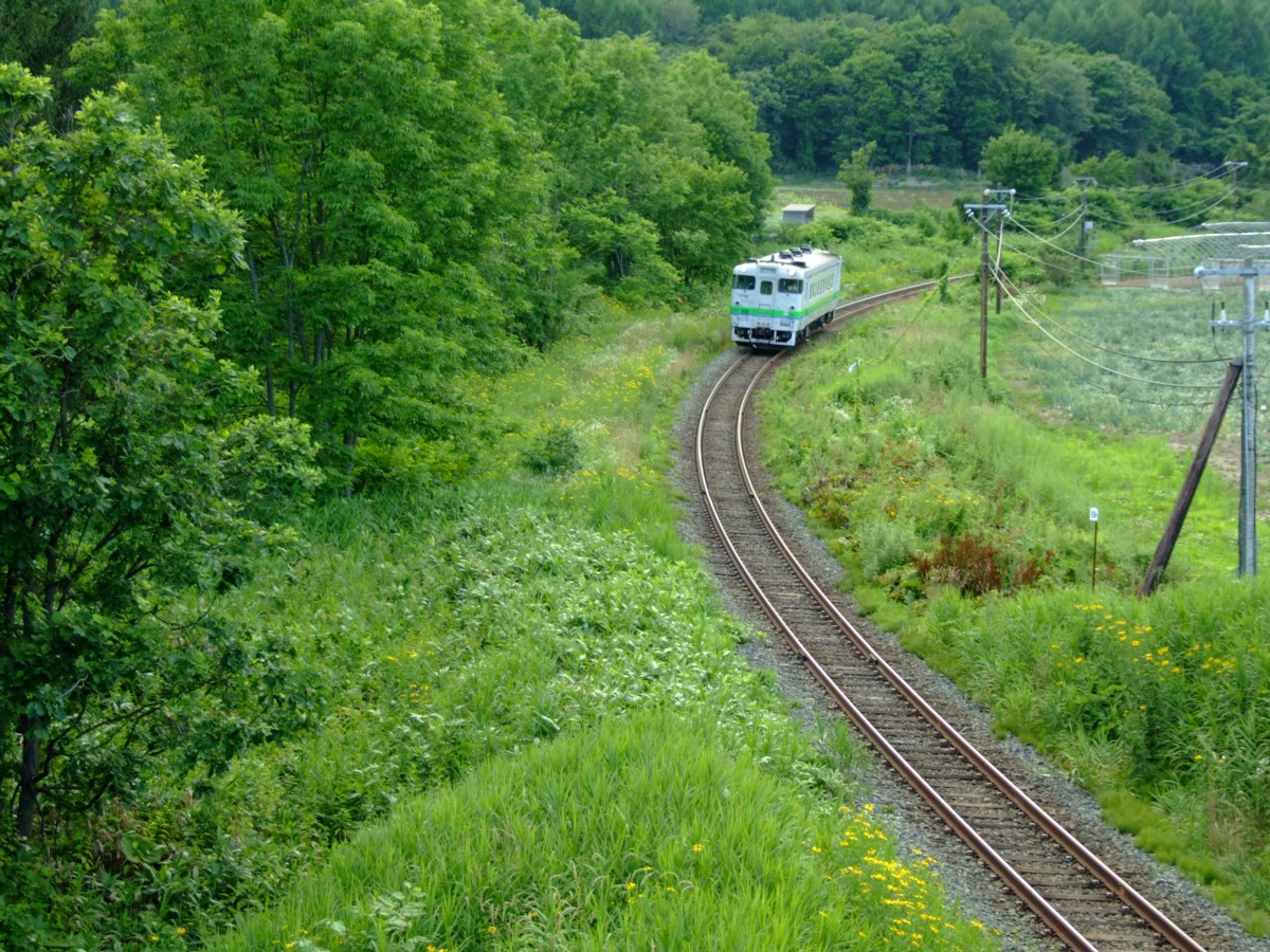 根室本線・撮影・島ノ下－富良野