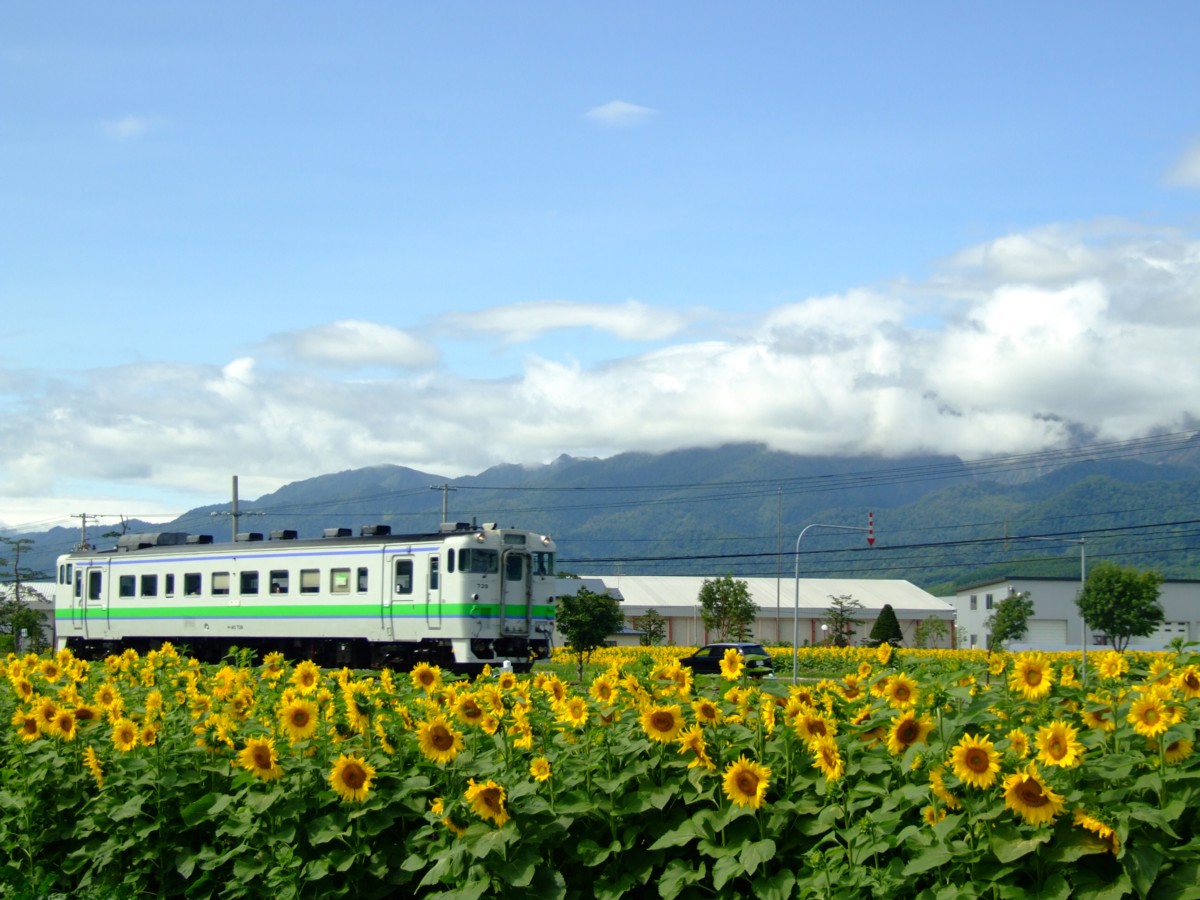 根室本線・撮影・富良野－布部