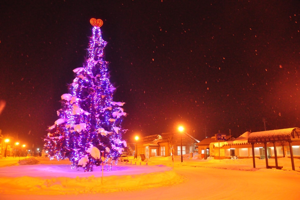 撮影・雪・富良野線・美瑛