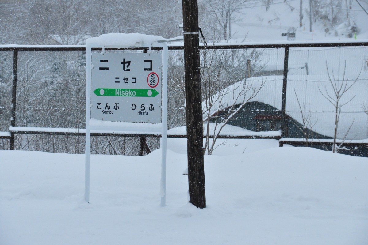 函館本線・撮影・ニセコ